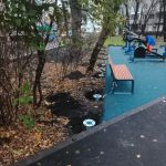 WhatsApp-Image-2025-10-26-at-17.13.21