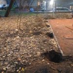 WhatsApp-Image-2025-10-27-at-18.21.58