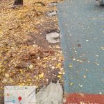 WhatsApp-Image-2025-10-28-at-11.00.34-1