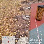 WhatsApp-Image-2025-10-28-at-11.00.35-2