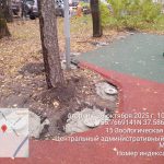 WhatsApp-Image-2025-10-28-at-11.00.36