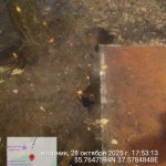 WhatsApp-Image-2025-10-28-at-17.55.21