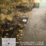 WhatsApp-Image-2025-10-28-at-17.55.22-1