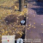 WhatsApp-Image-2025-10-29-at-18.27.58-1