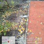 WhatsApp-Image-2025-10-31-at-10.59.21-1