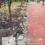 WhatsApp-Image-2025-10-31-at-10.59.22