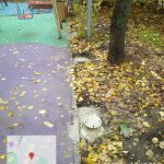 WhatsApp-Image-2025-10-31-at-10.59.23-2