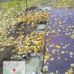 WhatsApp-Image-2025-10-31-at-10.59.24