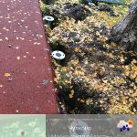 WhatsApp-Image-2025-10-31-at-18.19.34-1