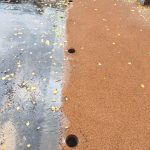 WhatsApp-Image-2025-10-31-at-18.19.35-2