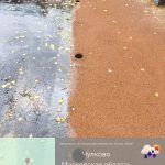 WhatsApp-Image-2025-10-31-at-18.19.36