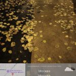 WhatsApp-Image-2025-11-01-at-18.02.24