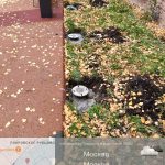 WhatsApp-Image-2025-11-03-at-11.52.40-1