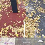 WhatsApp-Image-2025-11-03-at-11.53.19