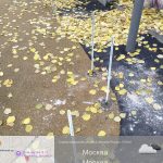 WhatsApp-Image-2025-11-03-at-11.53.20-1