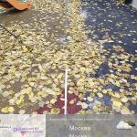 WhatsApp-Image-2025-11-03-at-11.53.20