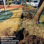 WhatsApp-Image-2025-11-04-at-18.01.07