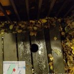 WhatsApp-Image-2025-11-05-at-18.06.10-1