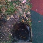 WhatsApp-Image-2025-11-07-at-17.49.01