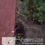 WhatsApp-Image-2025-11-08-at-17.51.13-1