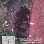 WhatsApp-Image-2025-11-08-at-17.51.13