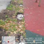 WhatsApp-Image-2025-11-10-at-10.14.46