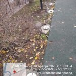 WhatsApp-Image-2025-11-10-at-10.14.48