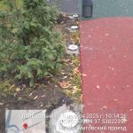 WhatsApp-Image-2025-11-10-at-10.14.49-1