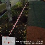 WhatsApp-Image-2025-11-11-at-17.59.53