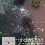 WhatsApp-Image-2025-11-12-at-17.41.33