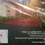 WhatsApp-Image-2025-11-12-at-17.42.17-2