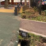 WhatsApp-Image-2025-11-14-at-17.43.43