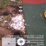 WhatsApp-Image-2025-11-17-at-17.59.59-1