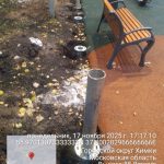 WhatsApp-Image-2025-11-17-at-18.00.00-1