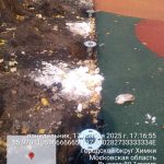 WhatsApp-Image-2025-11-17-at-18.00.00