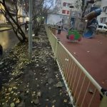 WhatsApp-Image-2025-11-18-at-17.54.13-2