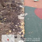 WhatsApp-Image-2025-11-19-at-10.39.24-1