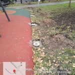 WhatsApp-Image-2025-11-19-at-10.39.24