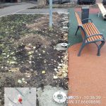 WhatsApp-Image-2025-11-19-at-10.39.24-2