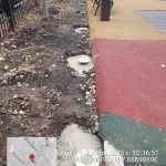 WhatsApp-Image-2025-11-19-at-10.39.25