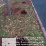 WhatsApp-Image-2025-11-19-at-17.00.03-1