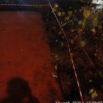 WhatsApp-Image-2025-11-22-at-17.58.32-2