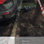 WhatsApp-Image-2025-11-24-at-17.56.24