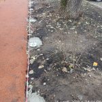 WhatsApp-Image-2025-11-25-at-17.51.51