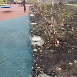 WhatsApp-Image-2025-11-25-at-17.51.52-2