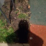 WhatsApp-Image-2025-11-25-at-17.52.48