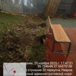 WhatsApp-Image-2025-11-25-at-17.52.50-1