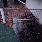 WhatsApp-Image-2025-11-26-at-11.42.16