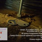 WhatsApp-Image-2025-11-26-at-17.18.18-1