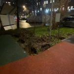 WhatsApp-Image-2025-11-26-at-17.20.11